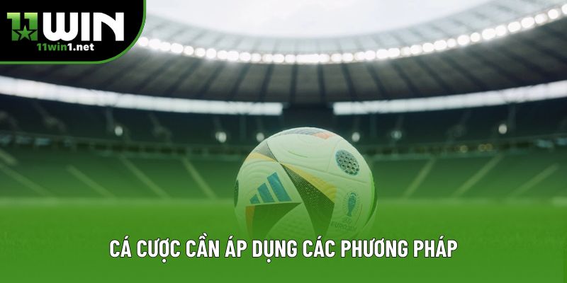 Cá cược cần áp dụng các phương pháp