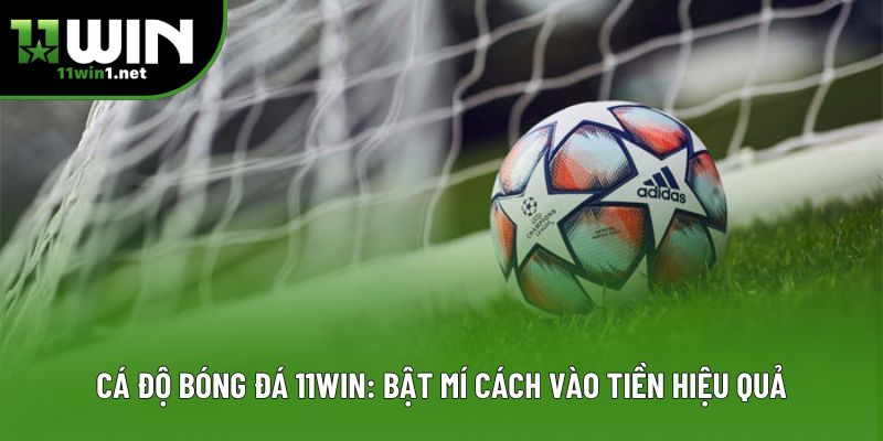 Cá Độ Bóng Đá 11win: Bật Mí Cách Vào Tiền Hiệu Quả