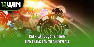 Cách Đặt Cược Tại 11win: Mẹo Thắng Lớn Từ Chuyên Gia