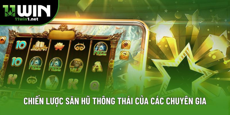 Chiến lược săn hũ thông thái của các chuyên gia
