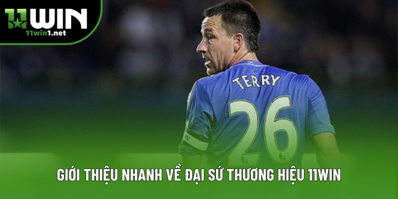 Giới thiệu nhanh về đại sứ thương hiệu 11win